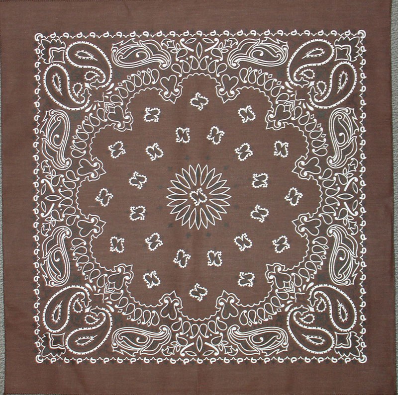 (image for) Bandanna Cocoa Brown Paisley 22" x 22"